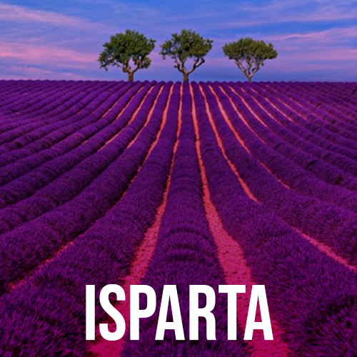 ISPARTA BELEDİYE BAŞKANLIĞI
